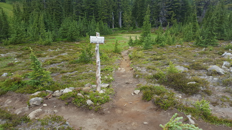 Russell Spur or PCT