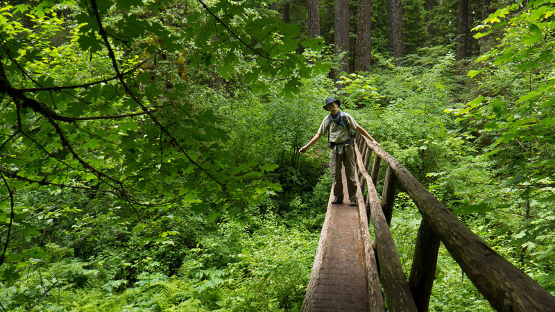 One of the many stream bridge crossings