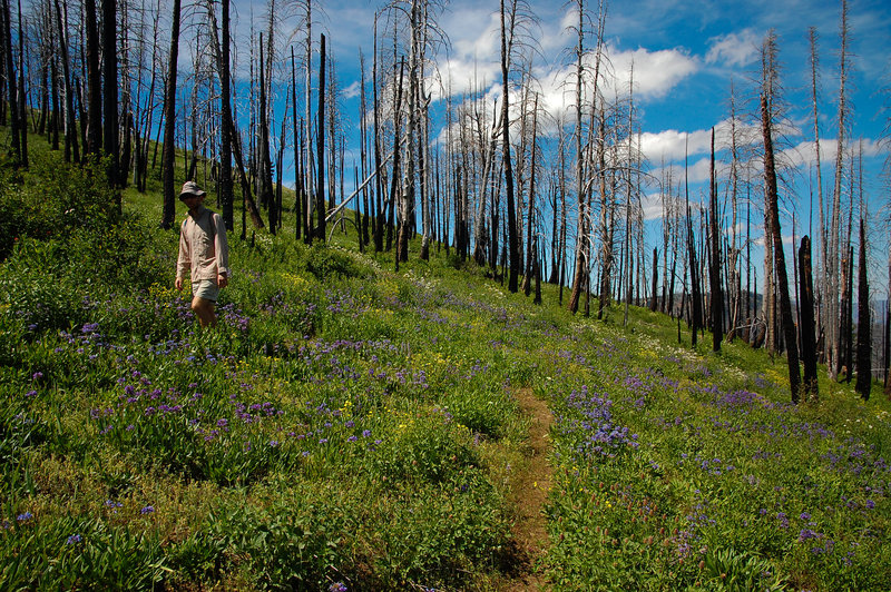 NE_Oregon_2013_549