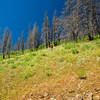 NE_Oregon_2013_504