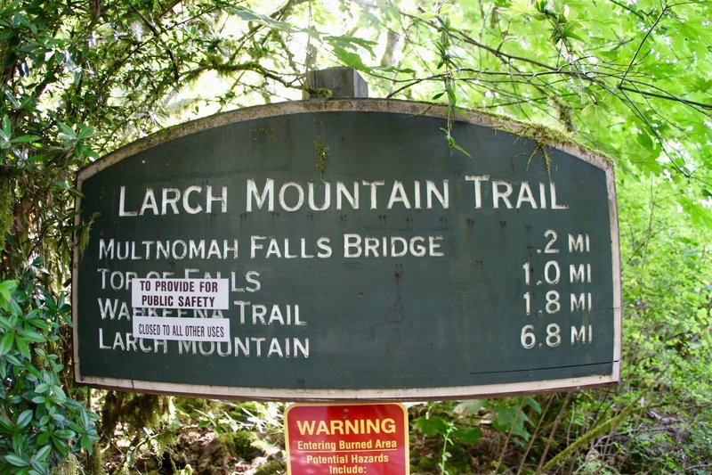 Larch Mountain Trail.. and closed trials