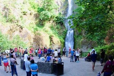 Crowd of tourists from view base of Multnomah Falls