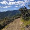 Descending to the Highway 238 side, spring of 2017 when the trail was still being made.