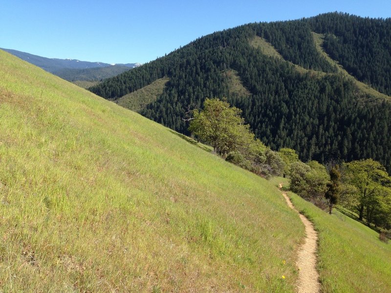 Tunnel Ridge trail