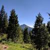 View out south towards the peak adjacent to Horse Springs as the trail starts to open up.