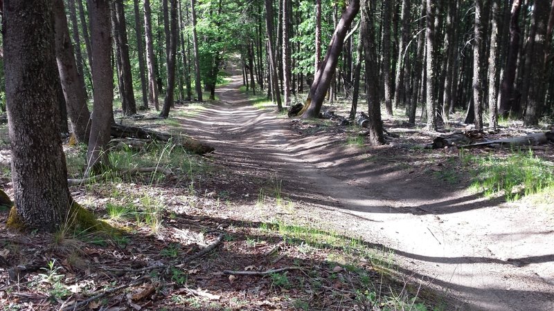 An example of the bike features along the trail.