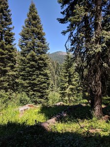 Looking out toward Lake Peak to the north on the Sturgis Fork Trail.