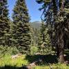 Looking out toward Lake Peak to the north on the Sturgis Fork Trail.