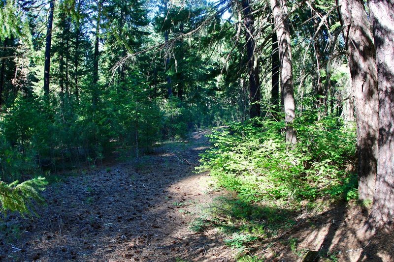 Before it was route of the old Crater Lake Highway