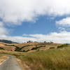 Grassy hills in La Honda Open Space Preserve