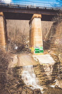 Lower Syndenham Falls