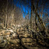 The stone stairs leading up the Tews Falls Lookout Trail.