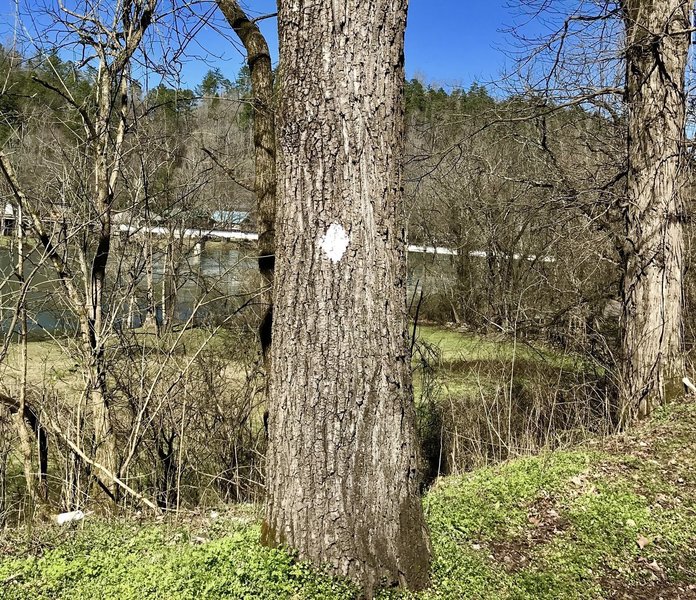 At Reliance, TN with Hiwassee River and railroad bridge in the background.