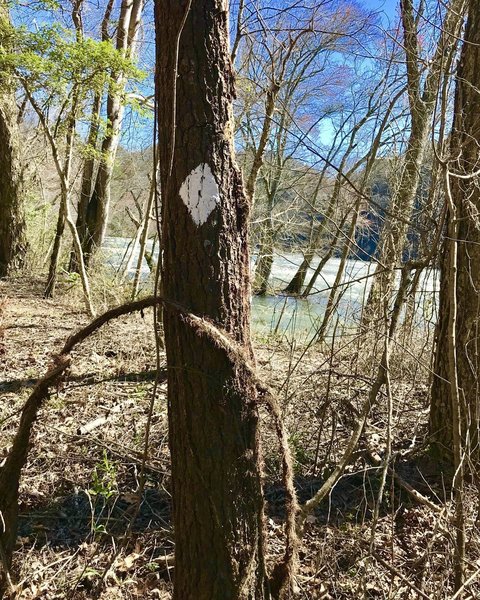 Benton MacKaye Trail at Big Bend Recreation Area and Hiwassee River.