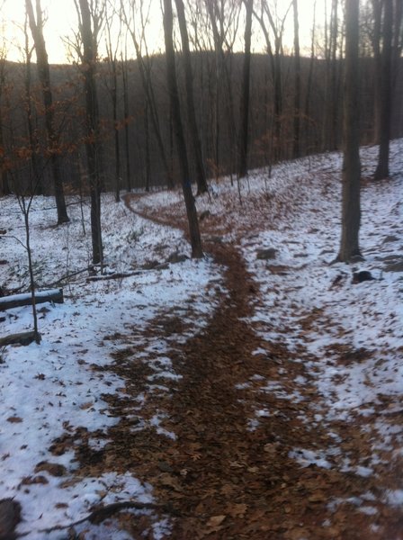 Cruising down the Blue Trail.