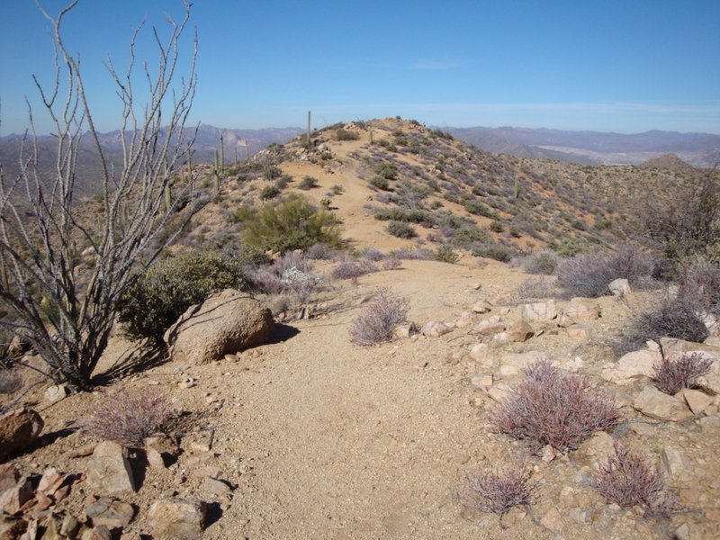 More ridgetop. Notice trail vagueness, you might not see any other tracks.