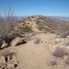 More ridgetop. Notice trail vagueness, you might not see any other tracks.