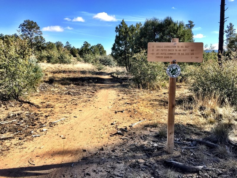 Trail 322 and 326 Intersection on the north end