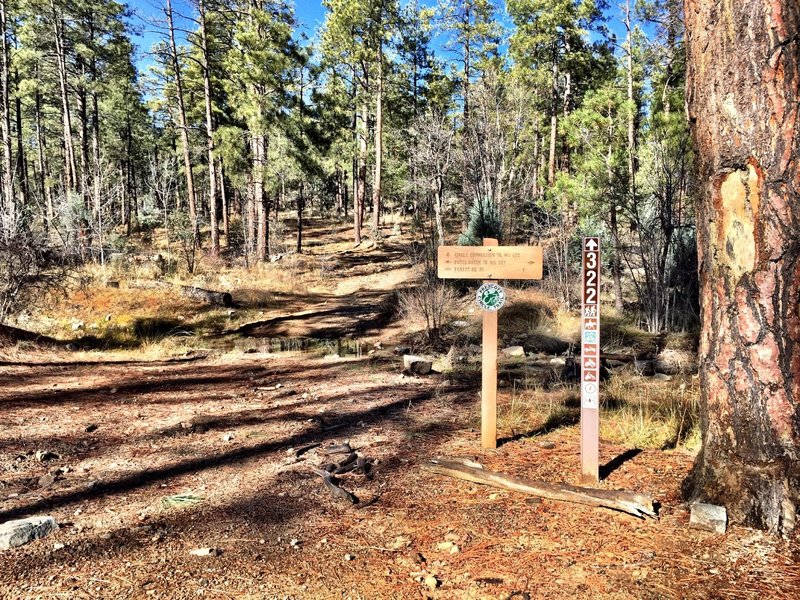 The intersection of Trail 322 and 327 heading north