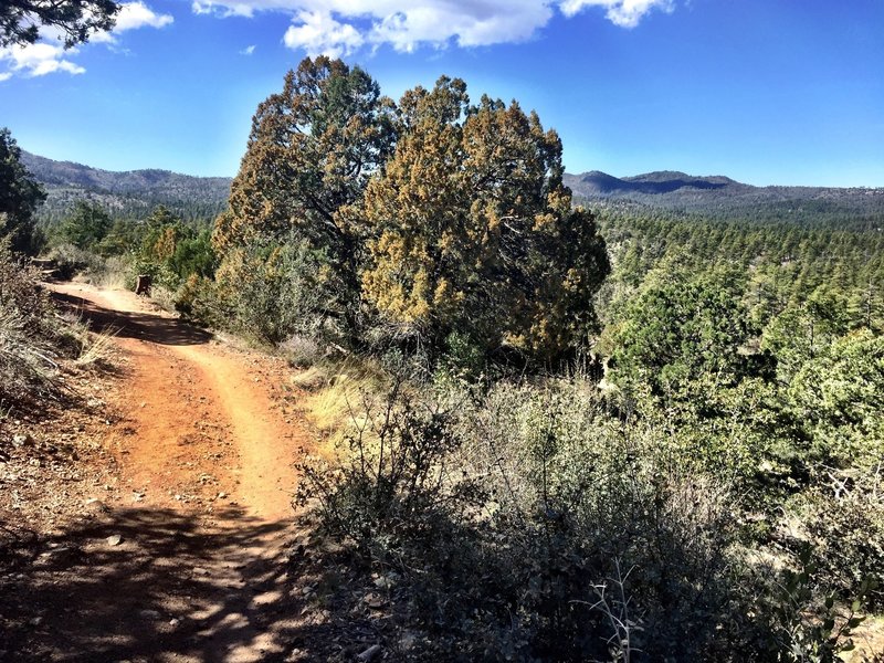 Open scenery on Trail 318