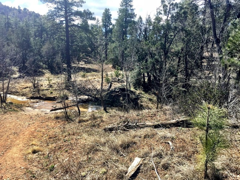 Another creek crossing for Trail 392