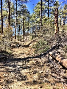 Trail #367