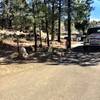 Trail 315 entrance from Thumb Butte parking area