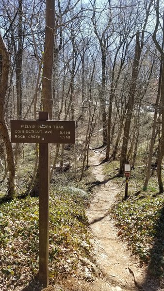 Melvin Hazen Trailhead - west side at Tilden & Reno Roads. Parking available on Tilden (north side)