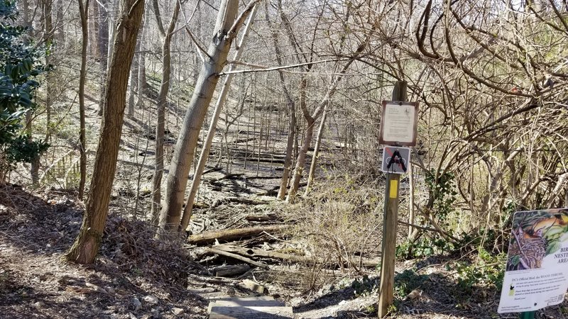 Melvin Hazen Trailhead entrance Connecticut Ave (west side). Trailhead is behind apartment building parking lot enter through alley 3781 Conn. Ave.