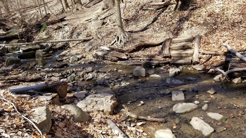 Melvin Hazen Trail between Conn. Ave & Rock Creek Park. Several rock-hopping stream crossings required.