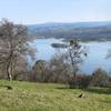 Overlooking New Melones Reservoir