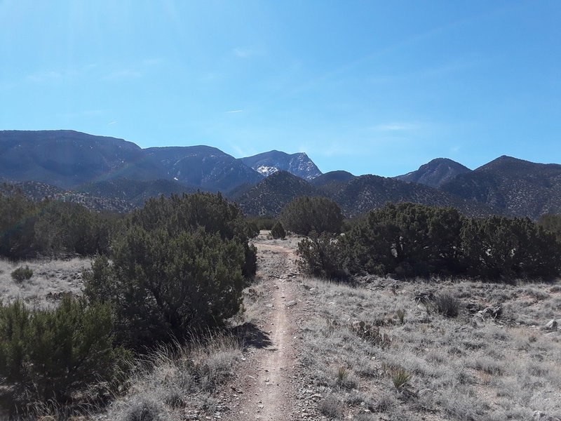 Lovely March day in the Placitas, Well marked trails!