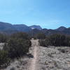 Lovely March day in the Placitas, Well marked trails!