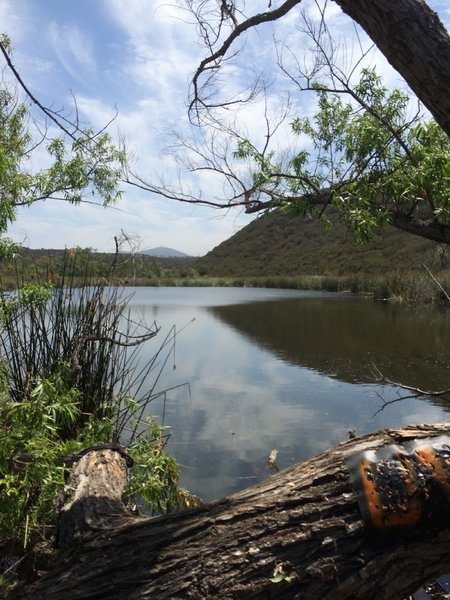 Santa Monica Ridge Lake.