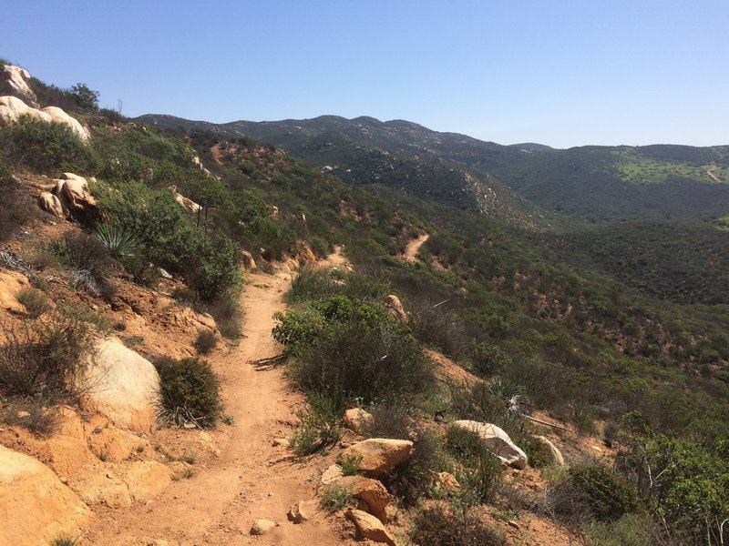 View from top of Martha's Grove Trail.