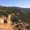 View from top of Martha's Grove Trail.