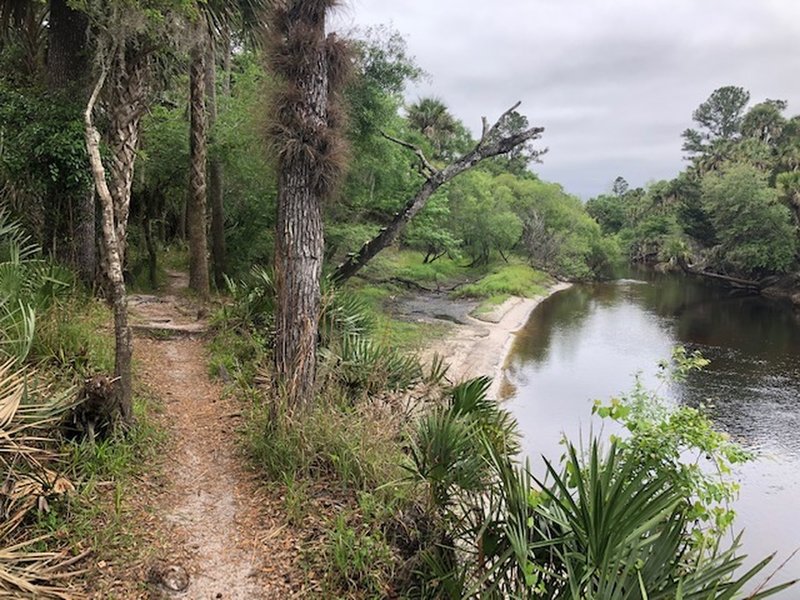 Typical bank trails