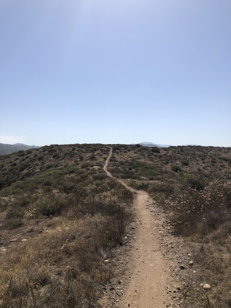 Singletrack ascent and still climbing.