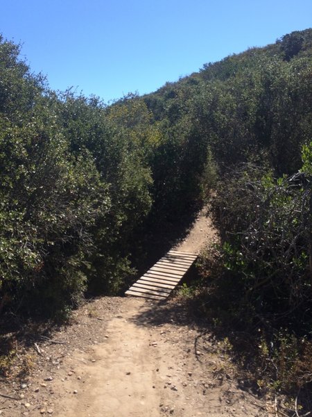 Small bridge crossing.