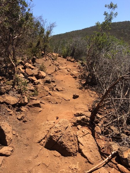 Large rocks on the trail that eventually smooth out.