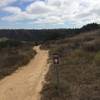 Side Hill singletrack.