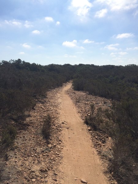 North Rim singletrack.