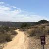 This trail narrows to singletrack then a huge drop. Be careful!