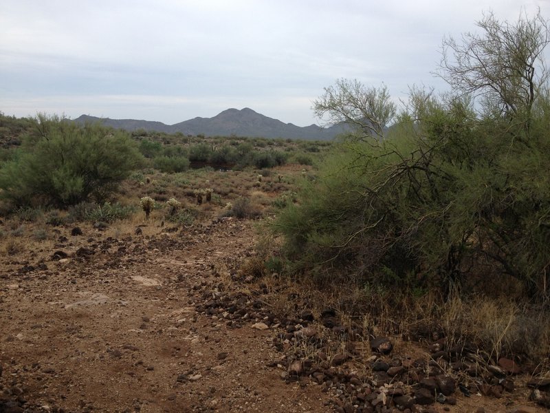 Just outside Spur Cross gate looking South at Cave Creek Park in the distance.