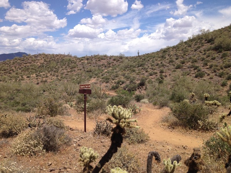 Junction with Go John Trail. Make sure you turn left at this junction as the Go John Trail to the north is only for experts.