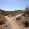 Junction of Go John Trail and Overton Trail; stay to the right and follow Overton Trail.