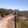 Maricopa Regional Trail marker.