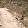 Double switchbacks on Overton Trail.