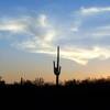 Sonoran sunset.