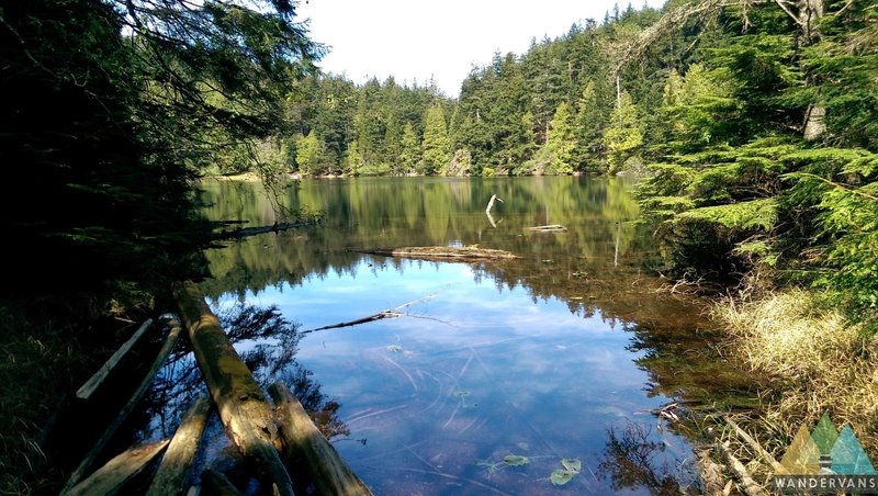 Spring at Twin Lakes in Moran State Park.